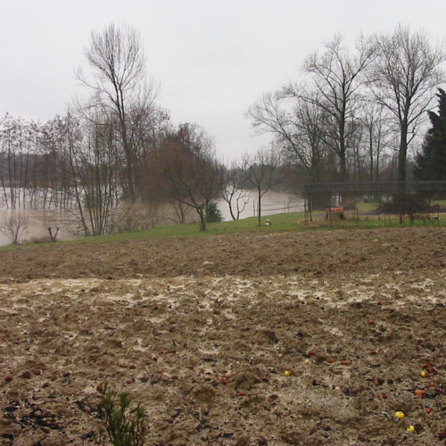 Intervento 21/01 n. 11 / 34376