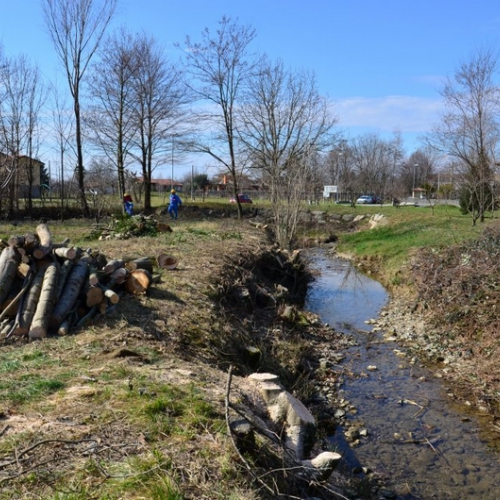 Pulizia alberi foto n.5 / 113334