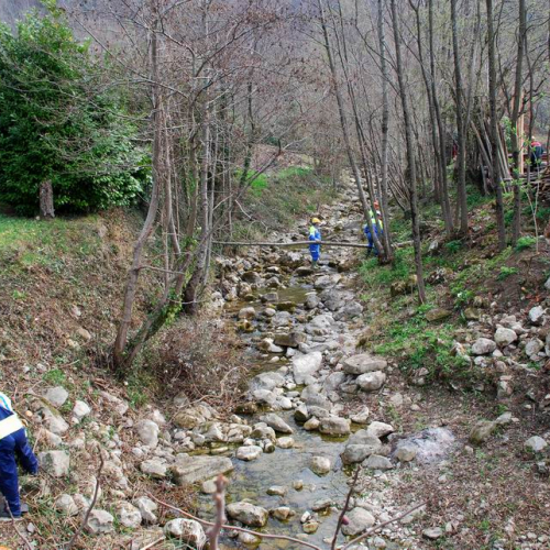 Intervento Attimis n. 12 / 78799