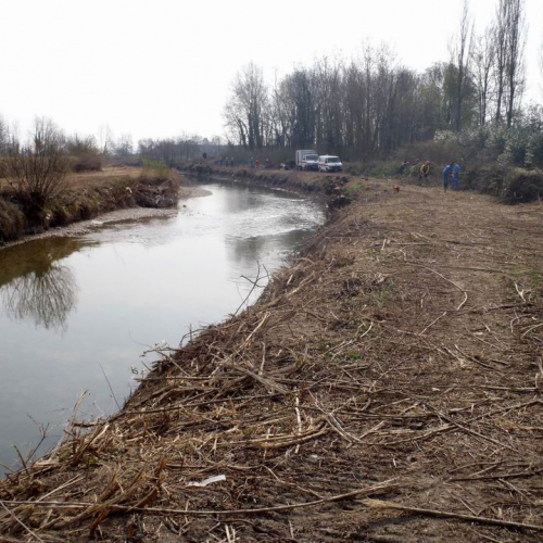 Intervento Caneva n. 12 / 78863