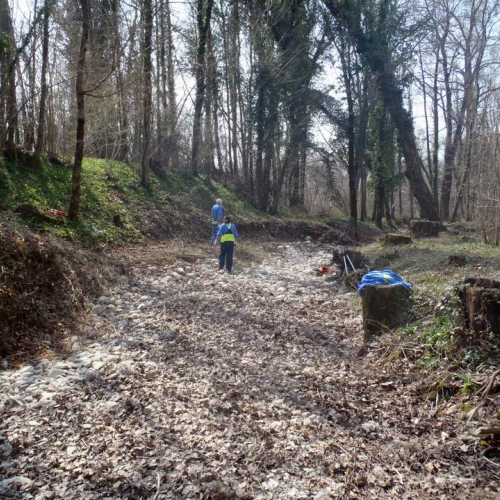 Intervento Fanna n. 11 / 78940