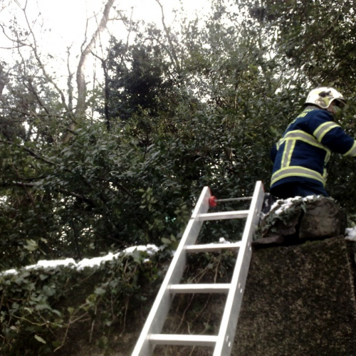 Interventi per la neve del 12/02/13 n. 1 / 90821