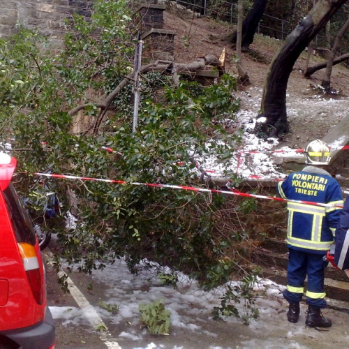 Interventi per la neve del 12/02/13 n. 2 / 90822