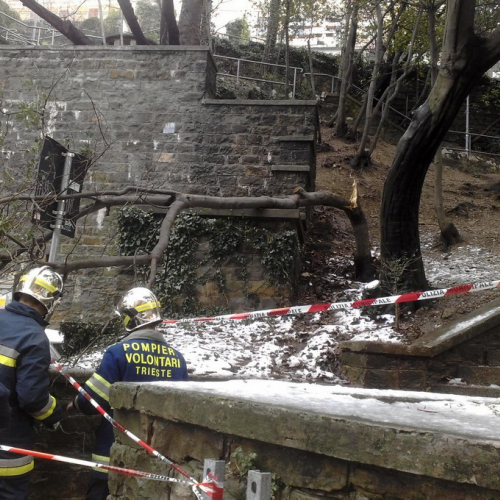 Interventi per la neve del 12/02/13 n. 3 / 90823