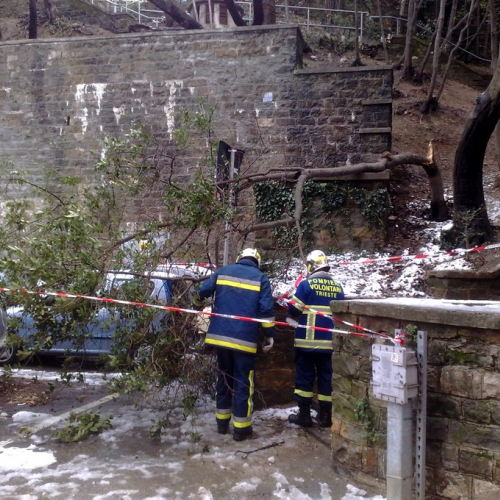 Interventi per la neve del 12/02/13 n. 4 / 90824