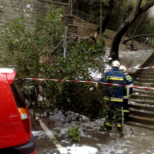 Interventi per la neve del 12/02/13 n. 5 / 90825
