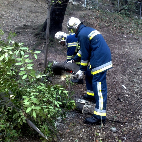 Interventi per la neve del 12/02/13 n. 6 / 90826