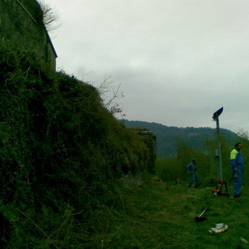 Intervento di pulizia Pieve di San Pietro (Zuglio) n. 4 / 107836