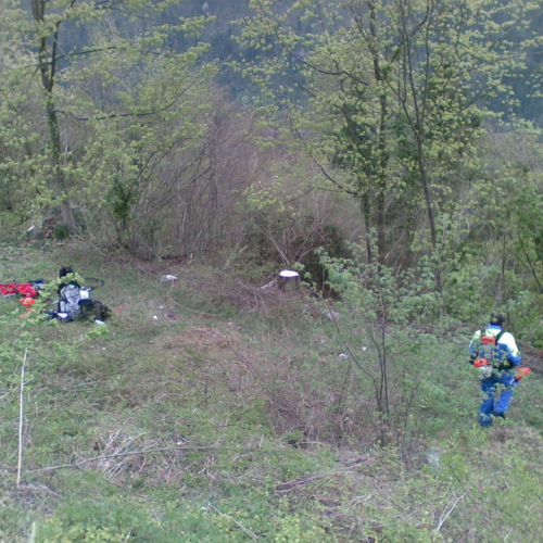 Intervento di pulizia Pieve di San Pietro (Zuglio) n. 6 / 107838