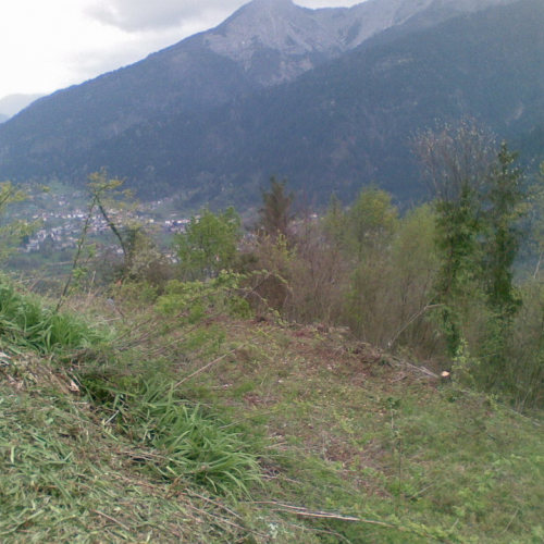 Intervento di pulizia Pieve di San Pietro (Zuglio) n. 7 / 107839