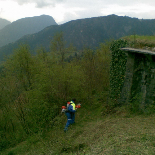 Intervento di pulizia Pieve di San Pietro (Zuglio) n. 8 / 107840