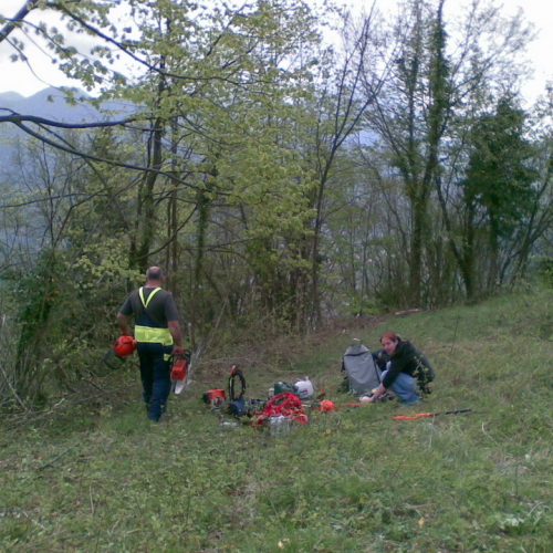 Intervento di pulizia Pieve di San Pietro (Zuglio) n. 9 / 107841