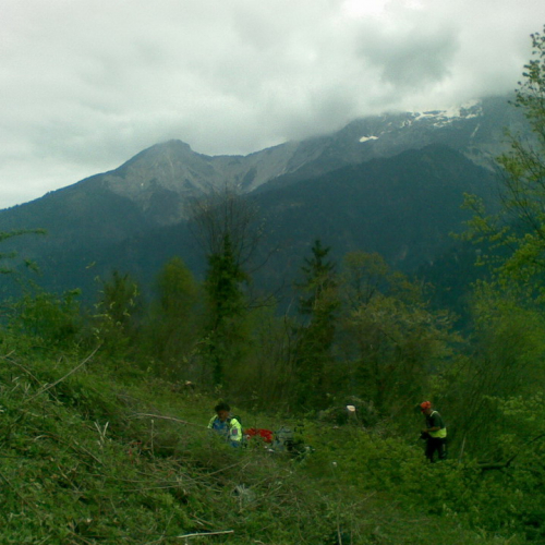 Intervento di pulizia Pieve di San Pietro (Zuglio) n. 11 / 107843