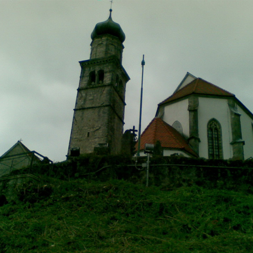 Intervento di pulizia Pieve di San Pietro (Zuglio) n. 12 / 107844