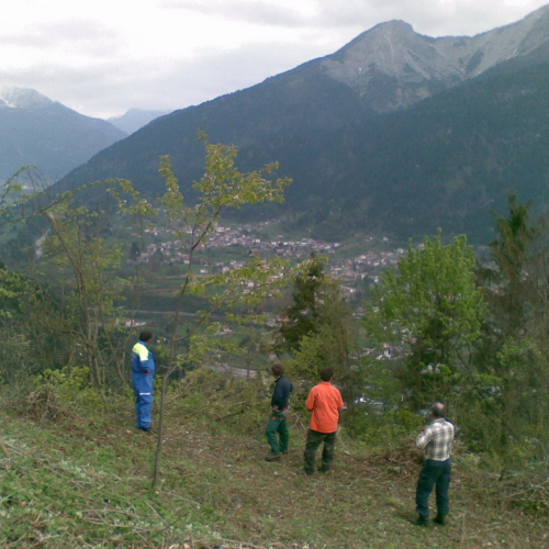 Intervento di pulizia Pieve di San Pietro (Zuglio) n. 13 / 107845