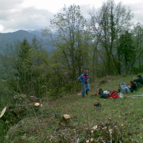 Intervento di pulizia Pieve di San Pietro (Zuglio) n. 16 / 107848
