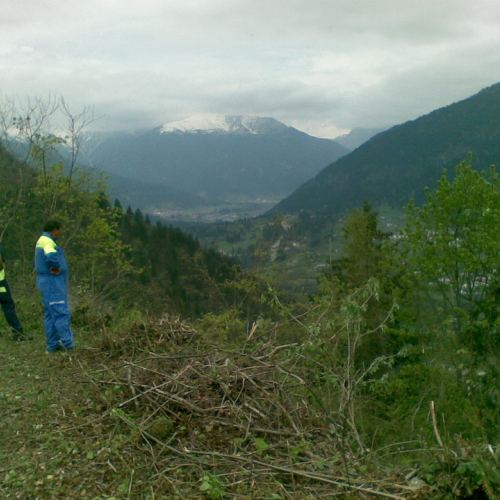 Intervento di pulizia Pieve di San Pietro (Zuglio) n. 17 / 107849