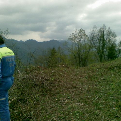 Intervento di pulizia Pieve di San Pietro (Zuglio) n. 19 / 107851