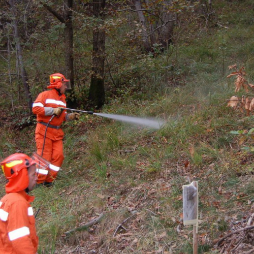 Esercitazione Monte San Simeone" n. 134""sercitazione "Monte San S""ercitazione" / 101167