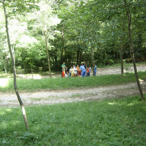 centro Estivo n. 12 / 27805