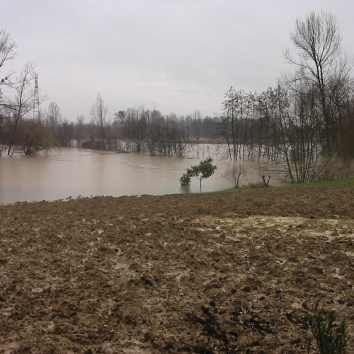 Intervento 21/01 n. 12 / 34377