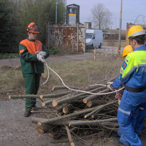 Addestramento 14/03 n. 9 / 35975