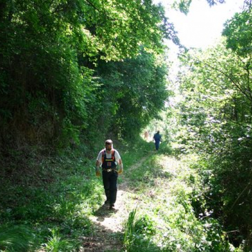 attivit‡ ripristino di una pista forestale n. 12 / 53630