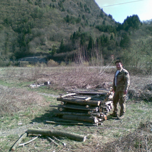 Attivit‡ 02/04/11 n. 12 / 63436