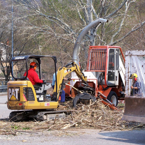 Intervento San Dorligo della Valle - Dolina n. 13 / 79125