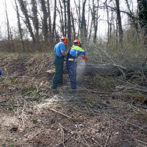 Intervento Caneva n. 13 / 78864