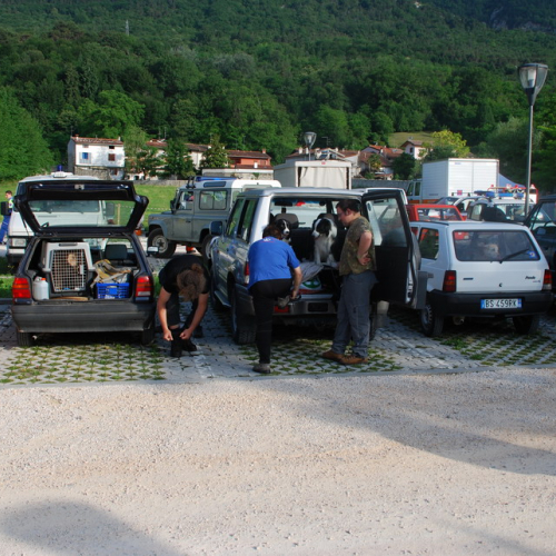 Addestramento Maniago 2010" del 13/06 n. 6""ddestramento "Maniago 2010" ""destramento "M""e" / 53165