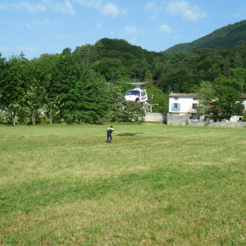 Addestramento Maniago 2010" del 13/06 n. 37""ddestramento "Maniago 2010" d""destramento "Ma""es" / 53196