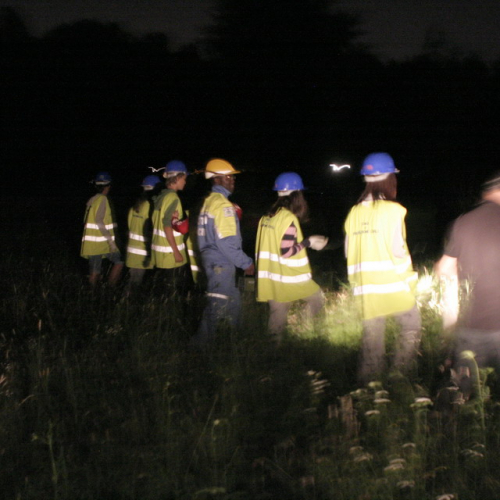 Campo formativo Prata di Pordenone n. 28 / 68871