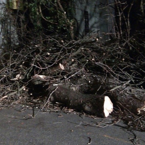 Interventi CPV Trieste foto n.1 / 112681