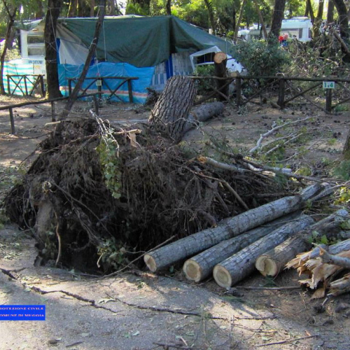 Volontari a Grado per emergenza 9 agosto 13 / 28024