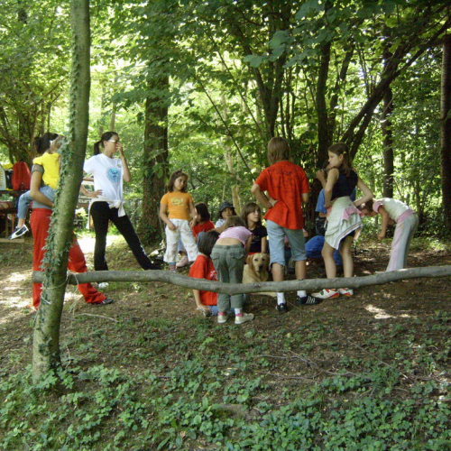 centro Estivo n. 13 / 27806