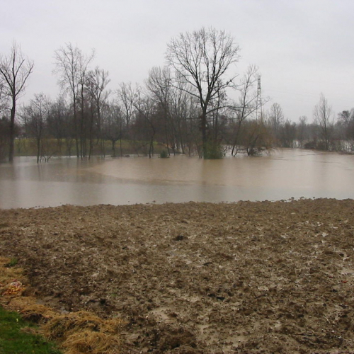 Intervento 21/01 n. 13 / 34378