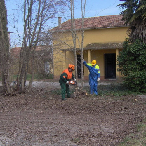 Addestramento 14/03 n. 10 / 35976