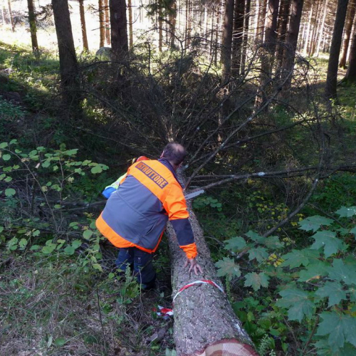 Corso motosega 10/10/10 n. 13 / 56979