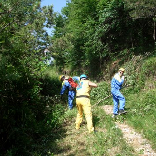 attivit‡ ripristino di una pista forestale n. 13 / 53631
