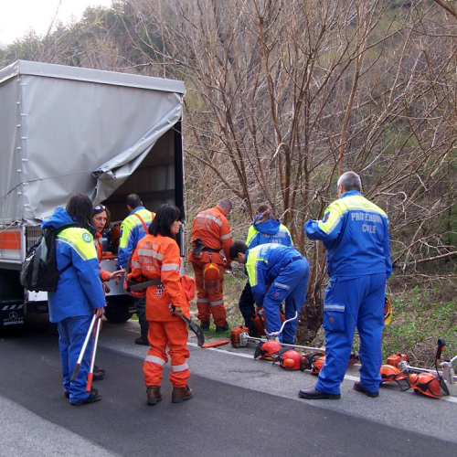 Intervento San Dorligo della Valle - Dolina n. 14 / 79126