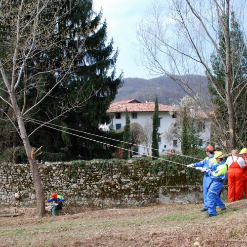 Intervento Attimis n. 14 / 78801