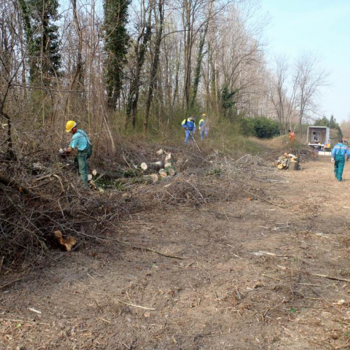 Intervento Caneva n. 14 / 78865