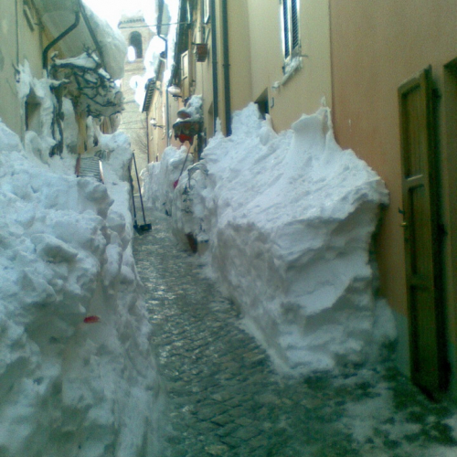 Interventi volontari in Comune di Auditore (Marche) n. 3 / 77187
