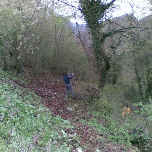 Attivit‡ di pulizia pieve di San Pietro n. 3 / 79769