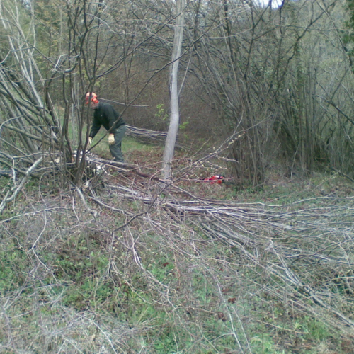 Attivit‡ di pulizia pieve di San Pietro n. 5 / 79771