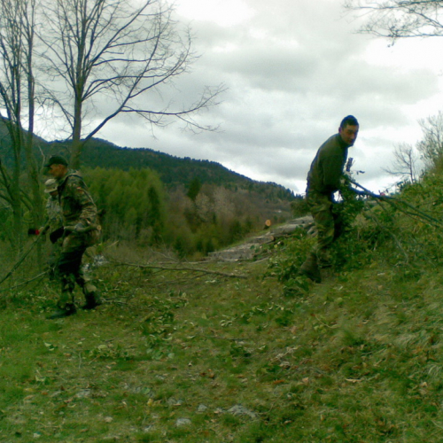 Attivit‡ di pulizia pieve di San Pietro n. 7 / 79773