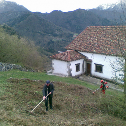 Attivit‡ di pulizia pieve di San Pietro n. 8 / 79774