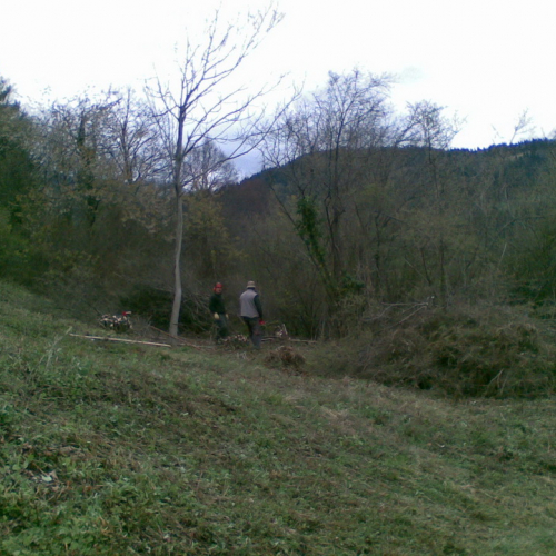 Attivit‡ di pulizia pieve di San Pietro n. 9 / 79775