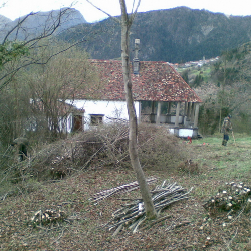 Attivit‡ di pulizia pieve di San Pietro n. 11 / 79777